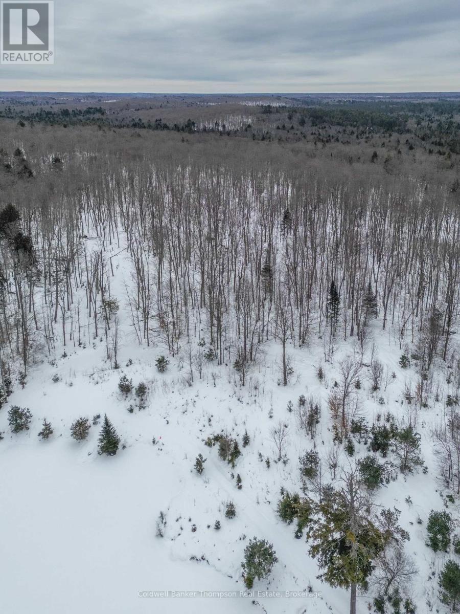 3051 Yearley Road, Huntsville, Ontario P0A 1R0 - Photo 19 - X13564976