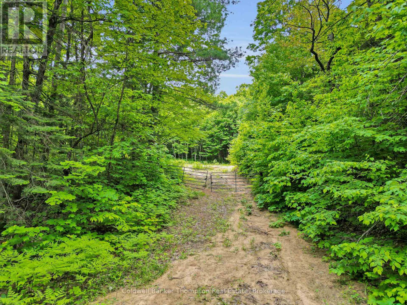 3051 Yearley Road, Huntsville, Ontario P0A 1R0 - Photo 2 - X13564976