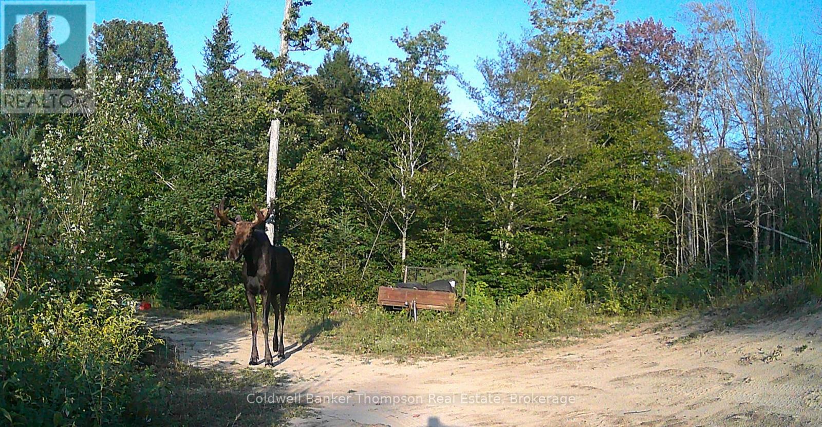 3051 Yearley Road, Huntsville, Ontario P0A 1R0 - Photo 27 - X13564976