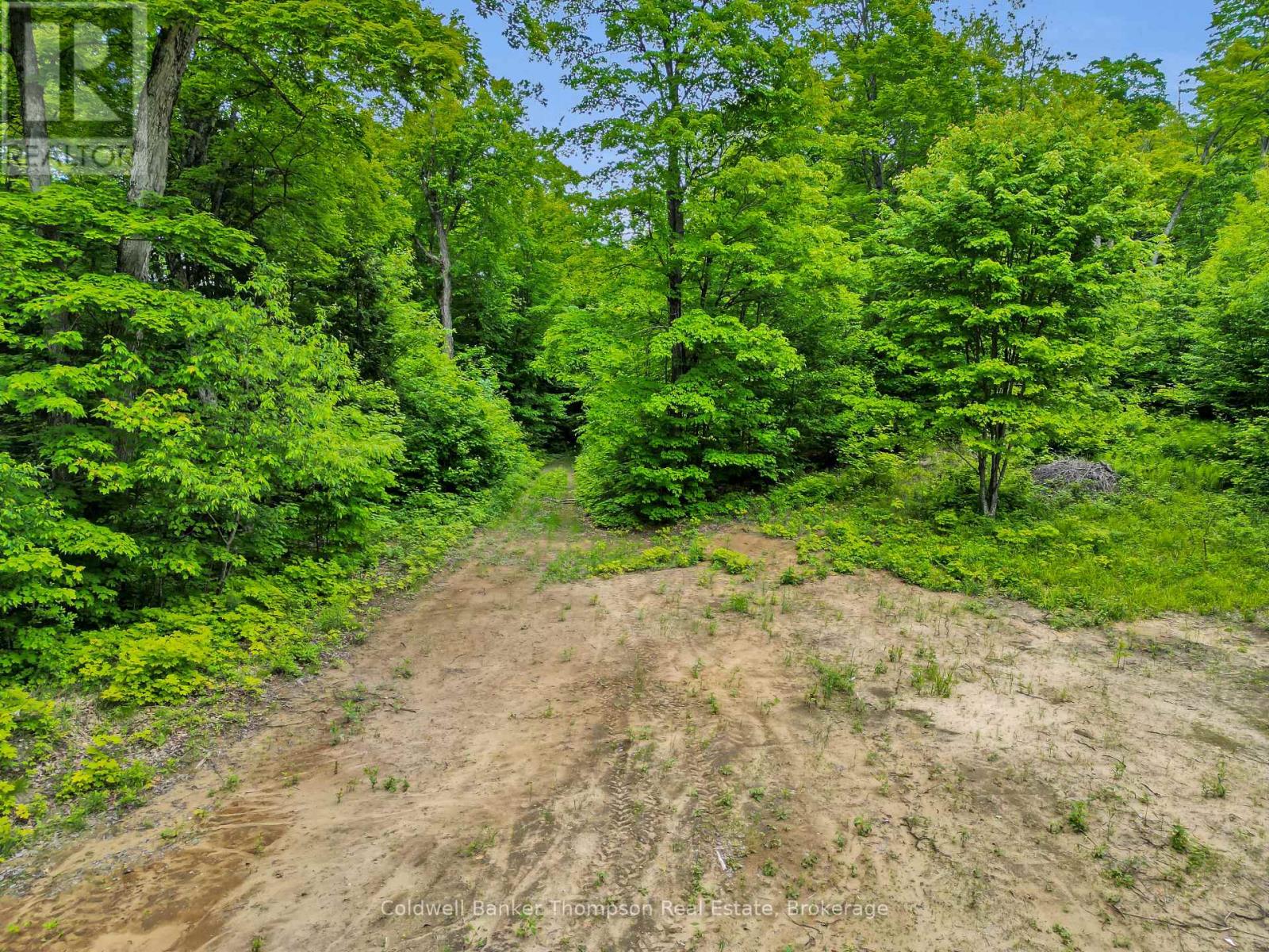 3051 Yearley Road, Huntsville, Ontario P0A 1R0 - Photo 3 - X13564976