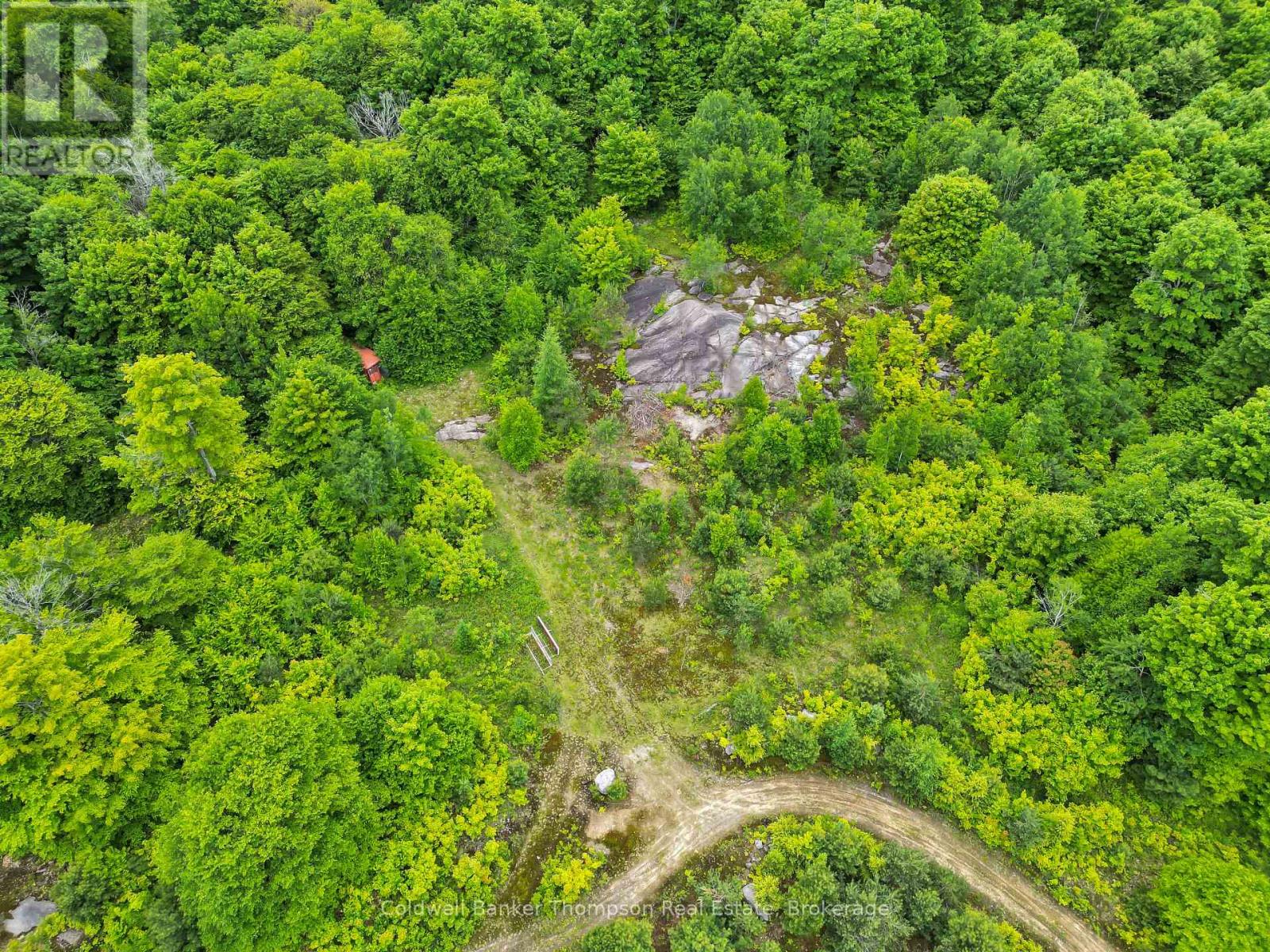 3051 Yearley Road, Huntsville, Ontario P0A 1R0 - Photo 9 - X13564976