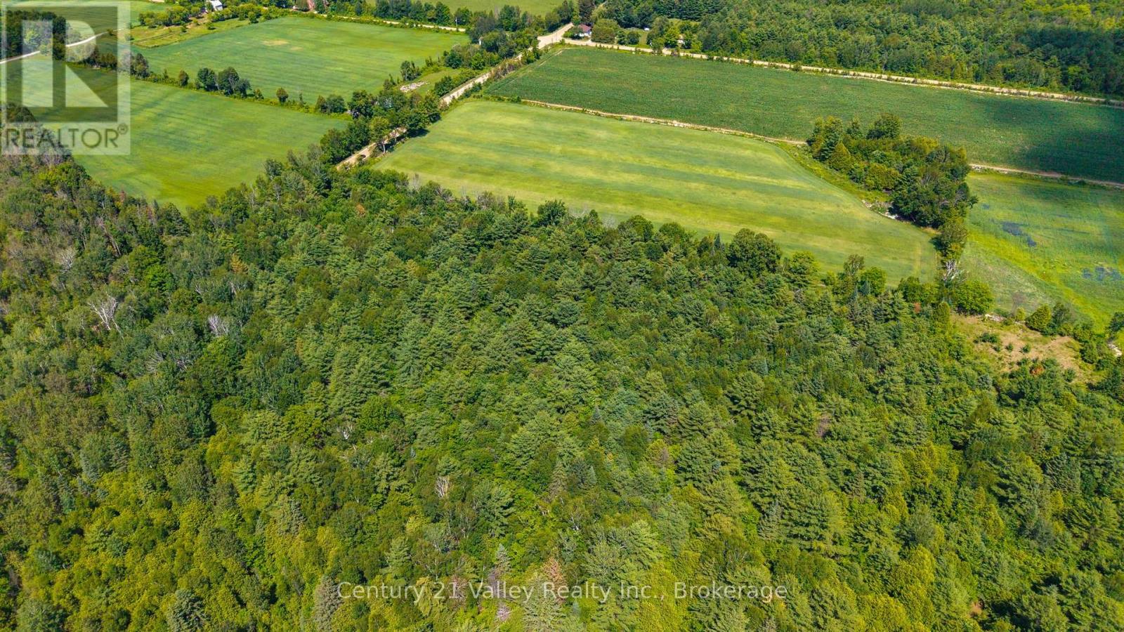 0 Stone Hedges Road, North Algona Wilberforce, Ontario  K0J 1T0 - Photo 18 - X13565032