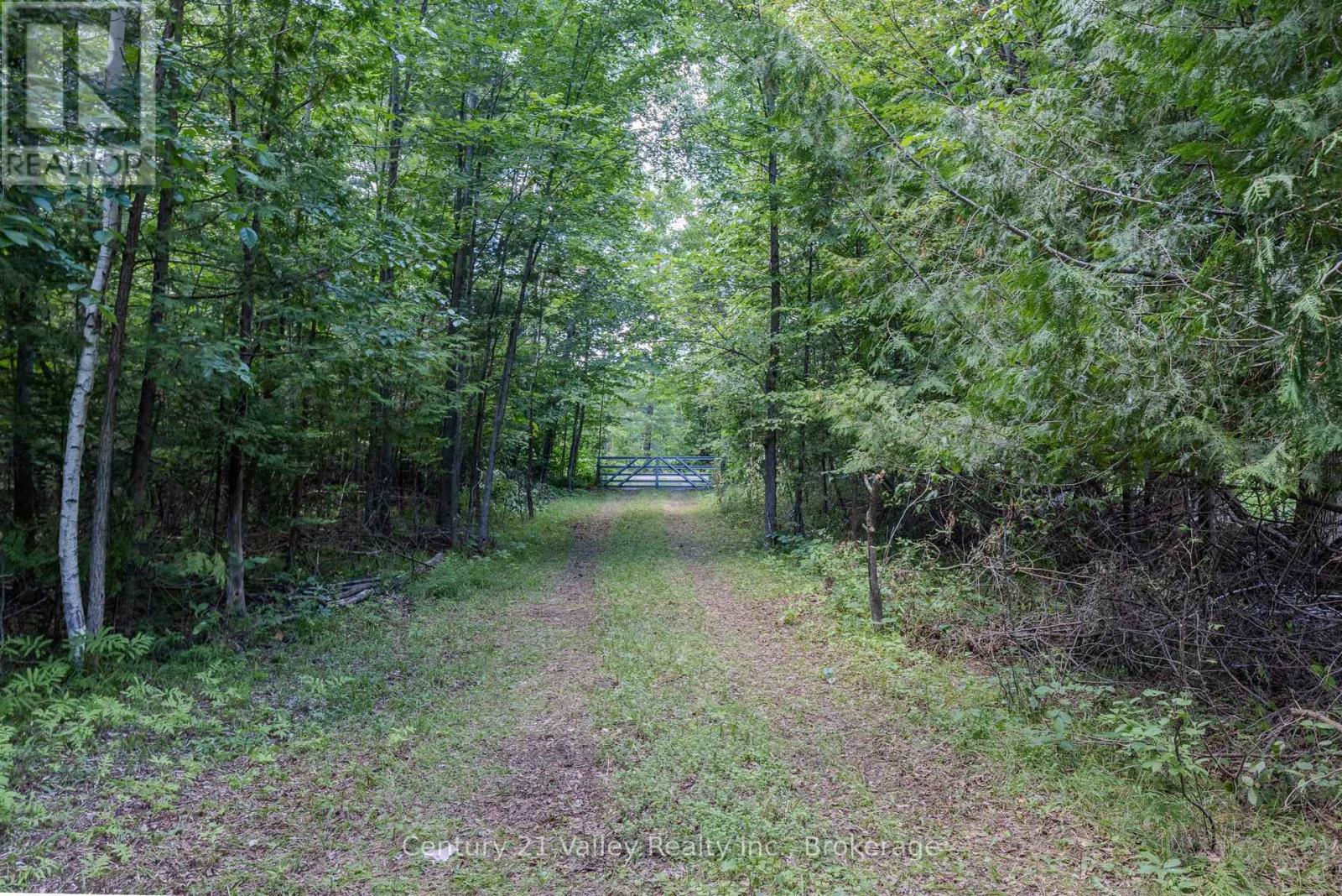0 Stone Hedges Road, North Algona Wilberforce, Ontario  K0J 1T0 - Photo 6 - X13565032