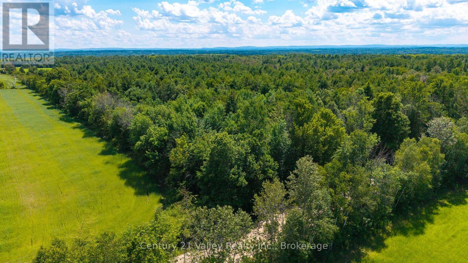 0 Stone Hedges Road, North Algona Wilberforce, Ontario  K0J 1T0 - Photo 8 - X13565032
