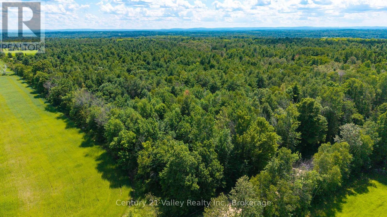 0 Stone Hedges Road, North Algona Wilberforce, Ontario  K0J 1T0 - Photo 9 - X13565032