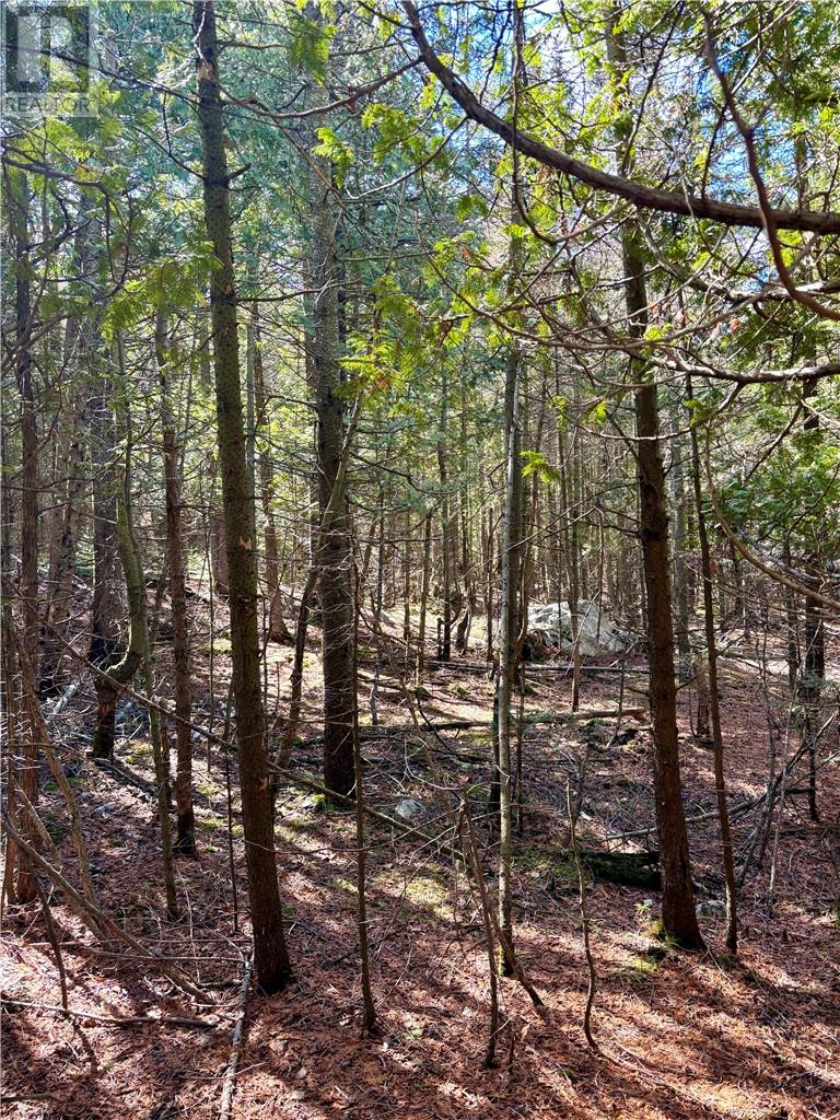 Lot 12 Lake Huron Drive, Spring  Bay, Ontario  P0P 1S0 - Photo 18 - 2129188