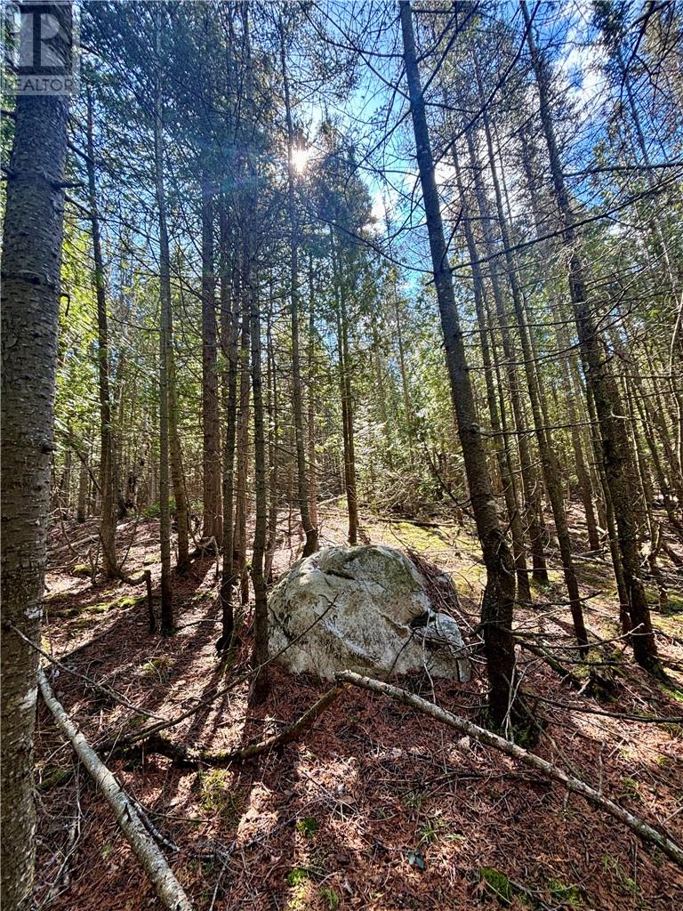 Lot 12 Lake Huron Drive, Spring  Bay, Ontario  P0P 1S0 - Photo 19 - 2129188