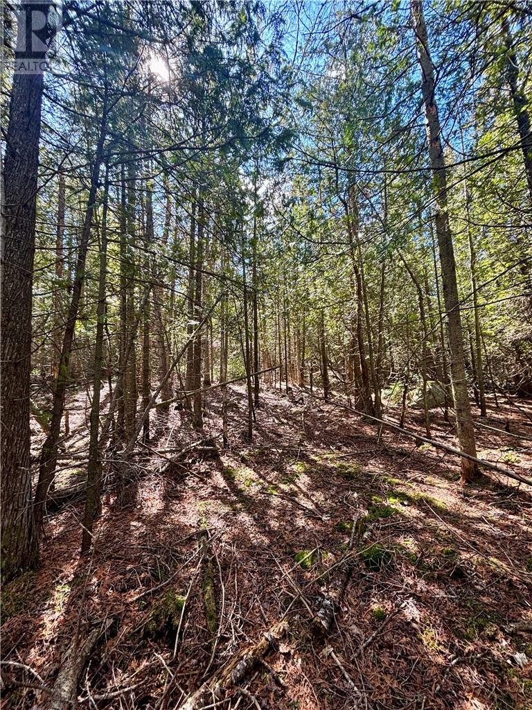 Lot 12 Lake Huron Drive, Spring  Bay, Ontario  P0P 1S0 - Photo 20 - 2129188