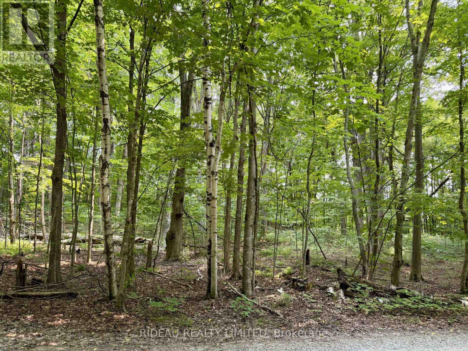Pt 38 Cedar Sands Road, Rideau Lakes, Ontario  K0E 1N0 - Photo 1 - X12942808