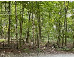 PT 38 CEDAR SANDS ROAD, Rideau Lakes, Ontario