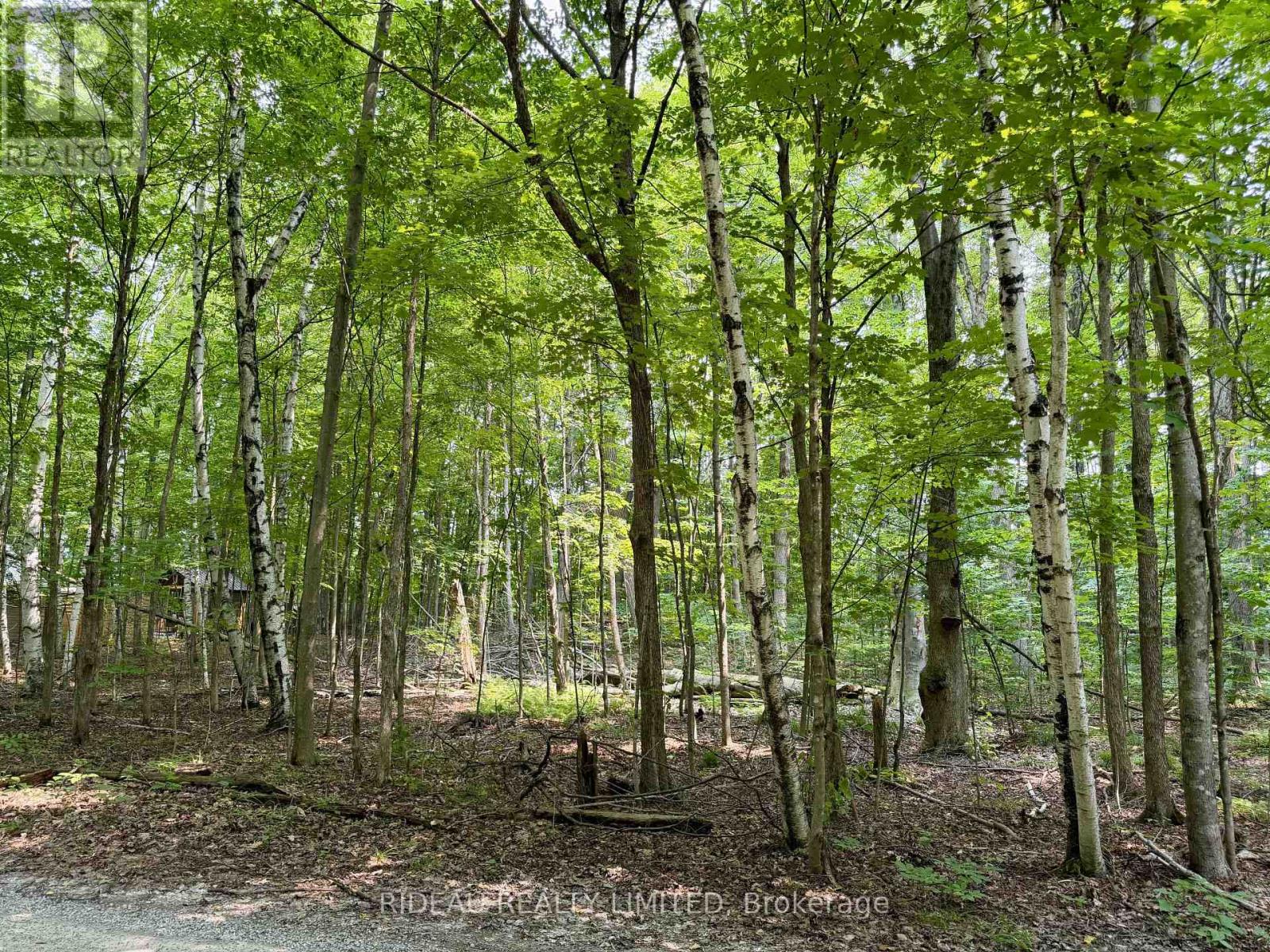 Pt 38 Cedar Sands Road, Rideau Lakes, Ontario  K0E 1N0 - Photo 2 - X12942808