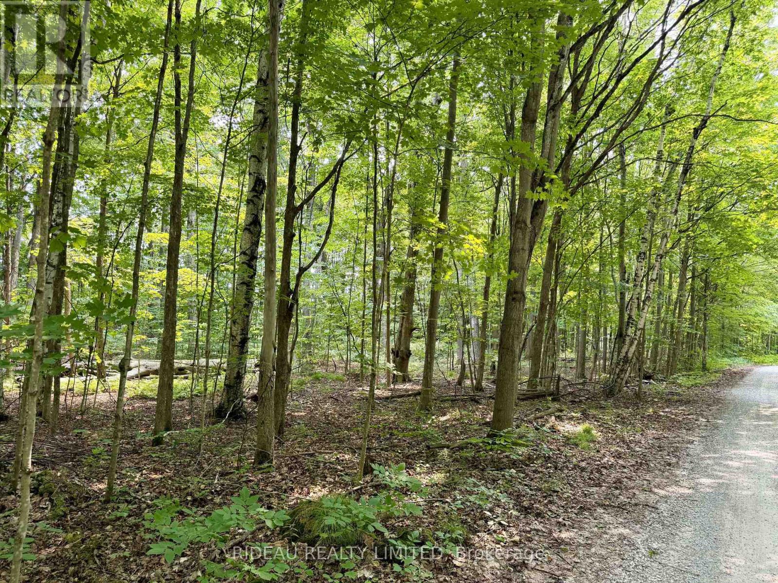 Pt 38 Cedar Sands Road, Rideau Lakes, Ontario  K0E 1N0 - Photo 3 - X12942808