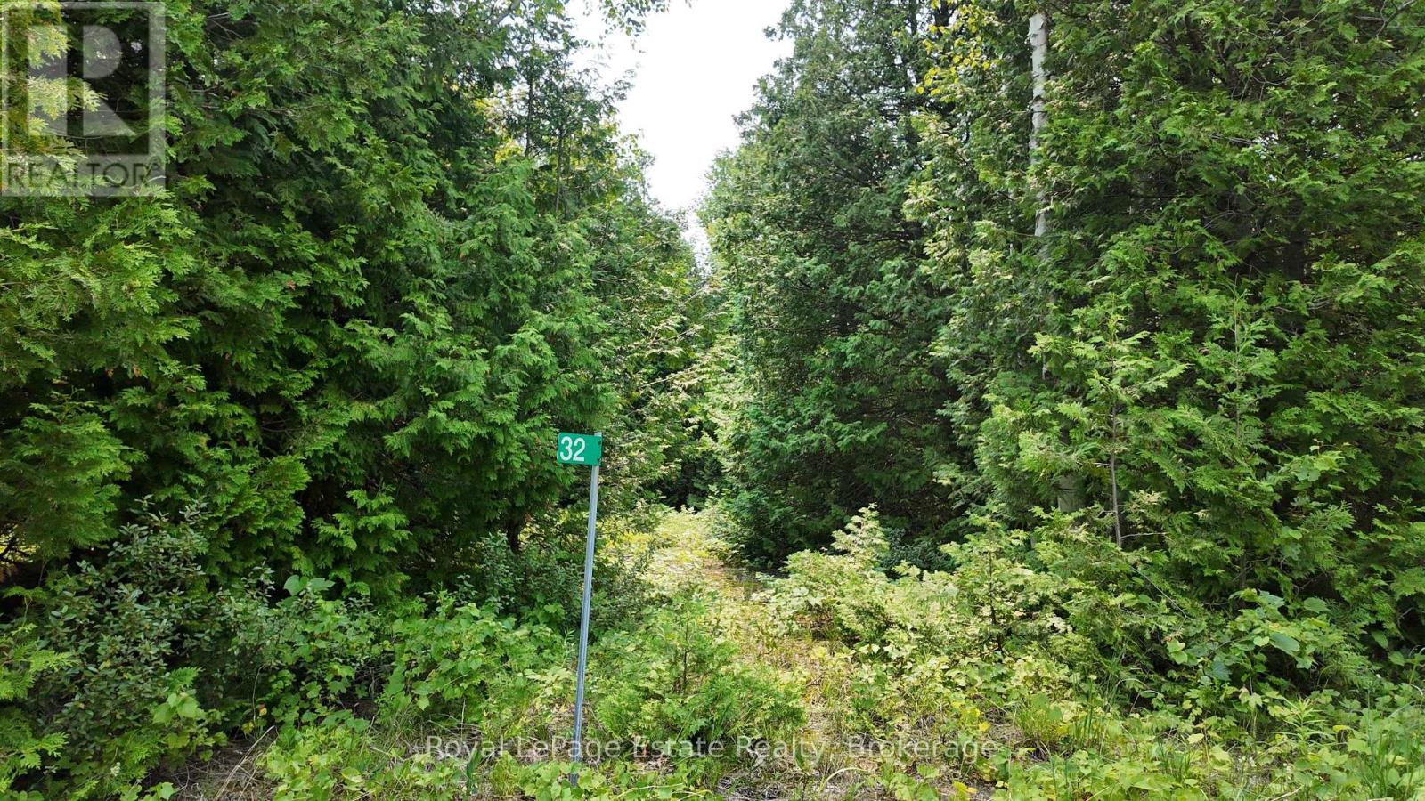 32 Telford Street, South Bruce Peninsula, Ontario  N0H 2T0 - Photo 2 - X13565192