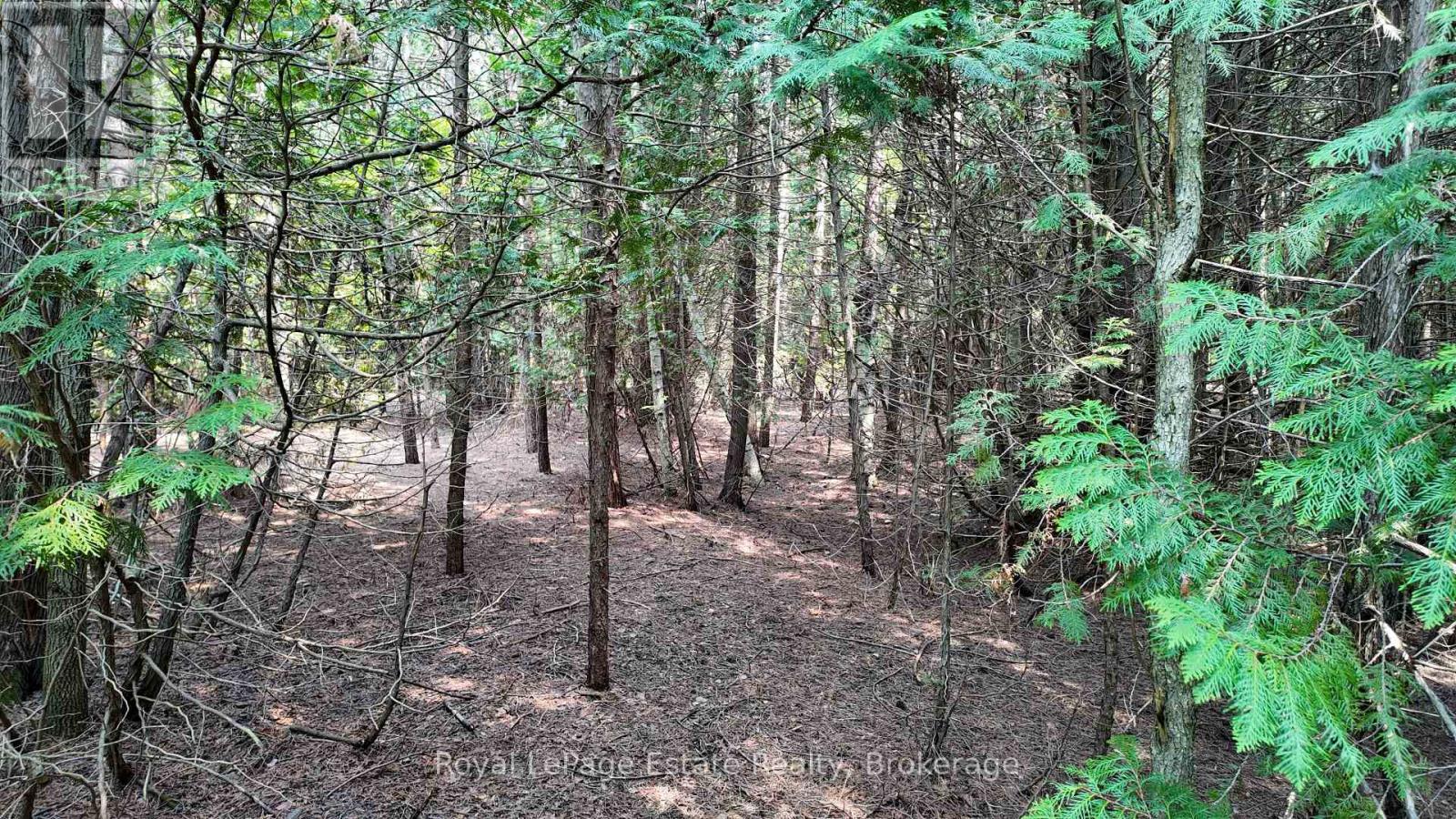32 Telford Street, South Bruce Peninsula, Ontario  N0H 2T0 - Photo 6 - X13565192