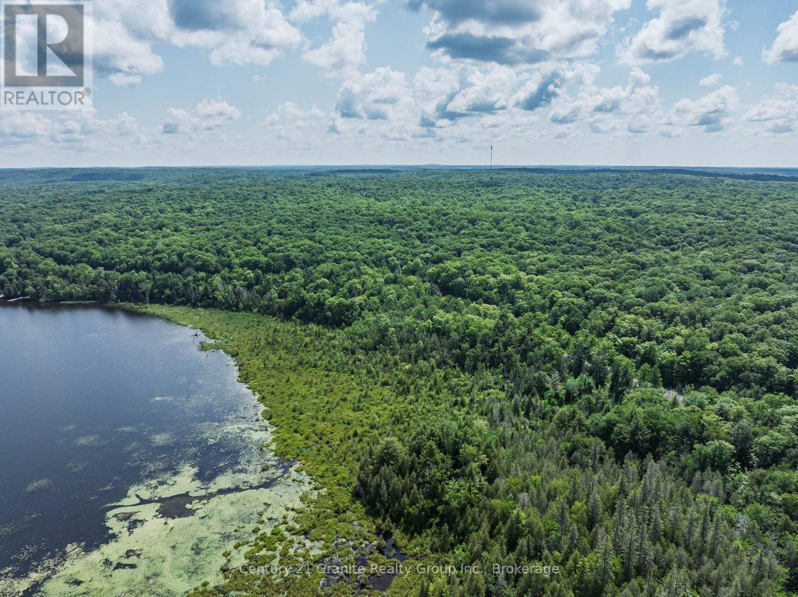 0 Kashagawigamog Lake Road, Minden Hills (Minden), Ontario  K0M 2K0 - Photo 11 - X13565228