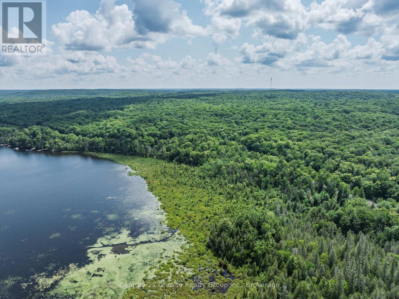 0 Kashagawigamog Lake Road, Minden Hills (Minden), Ontario  K0M 2K0 - Photo 20 - X13565228