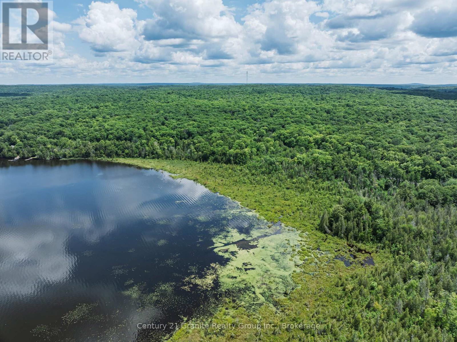 0 Kashagawigamog Lake Road, Minden Hills (Minden), Ontario  K0M 2K0 - Photo 4 - X13565228