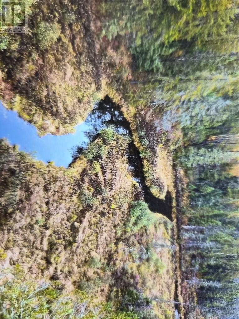 Lot 1 North Road Middle Section, Markstay, Ontario  P0M 2G0 - Photo 7 - 2129227