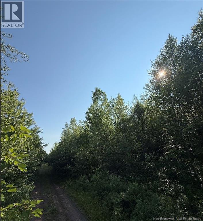 Upper Vail Road, Gagetown