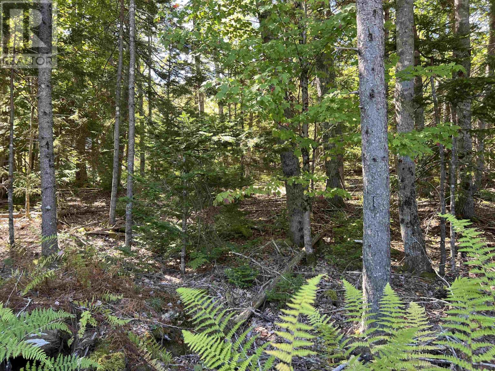 Lot 5 Conquerall Rd, Conquerall Bank, Nova Scotia  B4V 2W3 - Photo 1 - 202603553