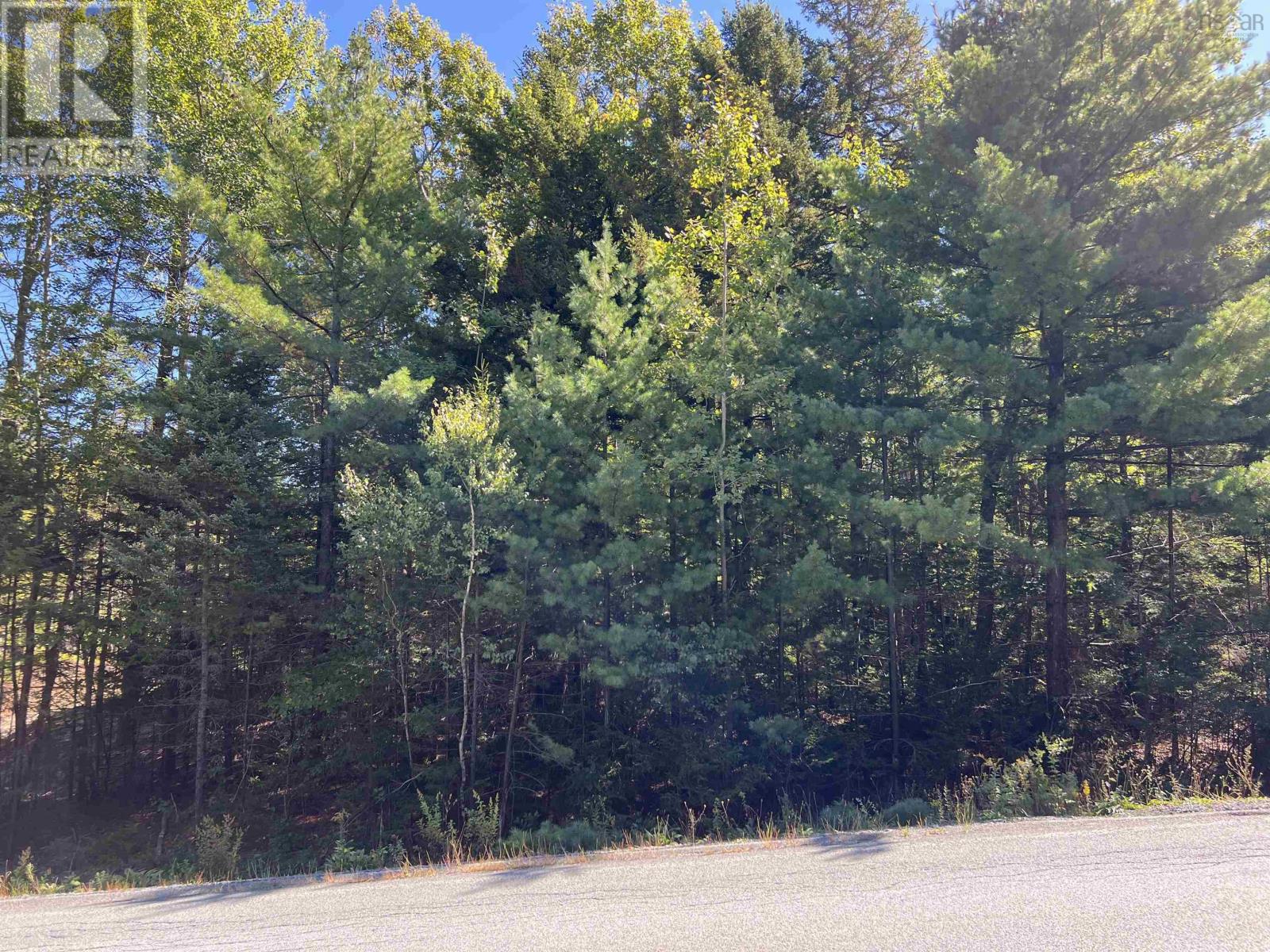 Lot 5 Conquerall Rd, Conquerall Bank, Nova Scotia  B4V 2W3 - Photo 12 - 202603553