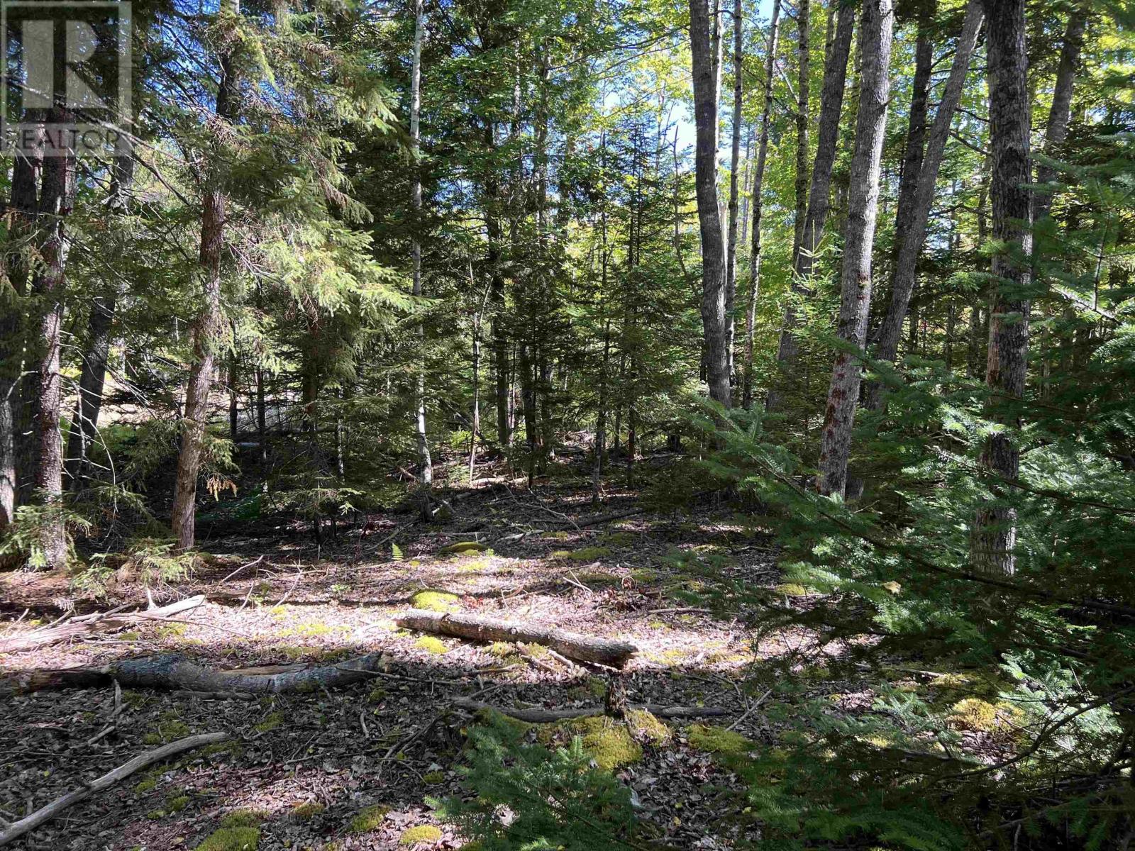 Lot 5 Conquerall Rd, Conquerall Bank, Nova Scotia  B4V 2W3 - Photo 5 - 202603553