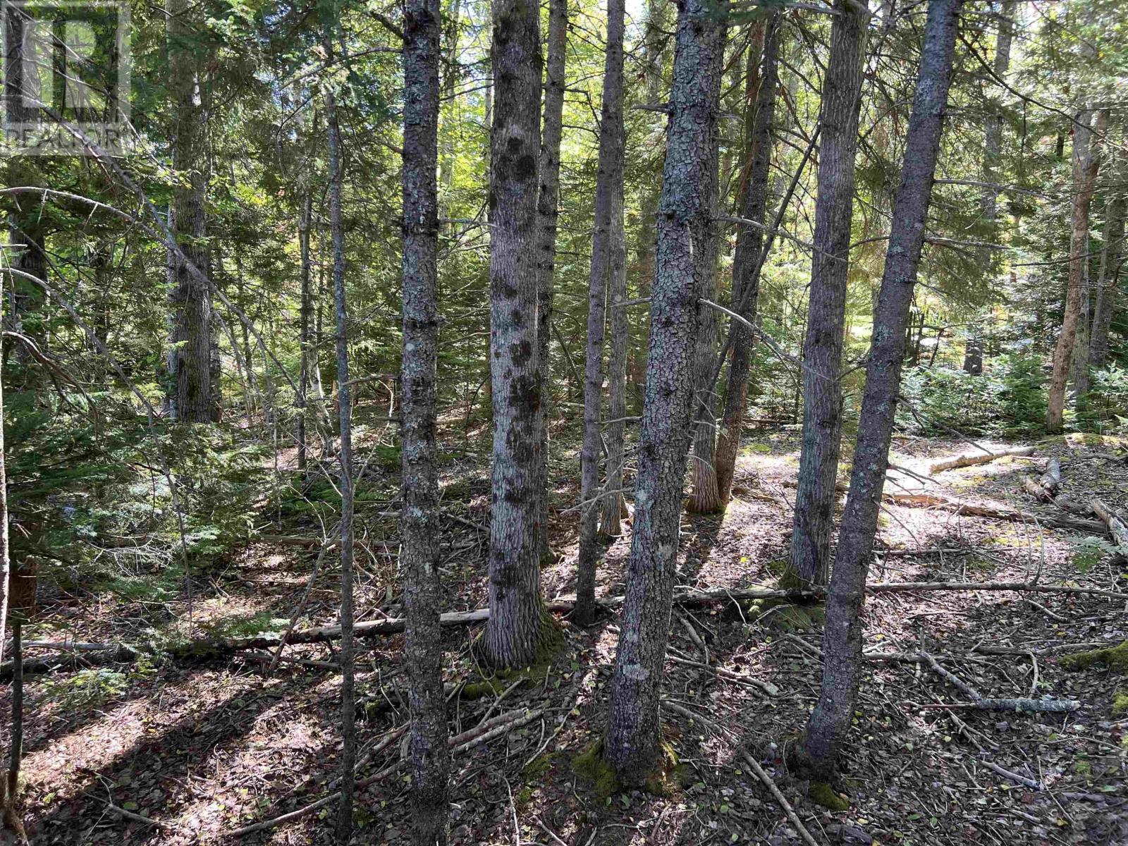 Lot 5 Conquerall Rd, Conquerall Bank, Nova Scotia  B4V 2W3 - Photo 7 - 202603553