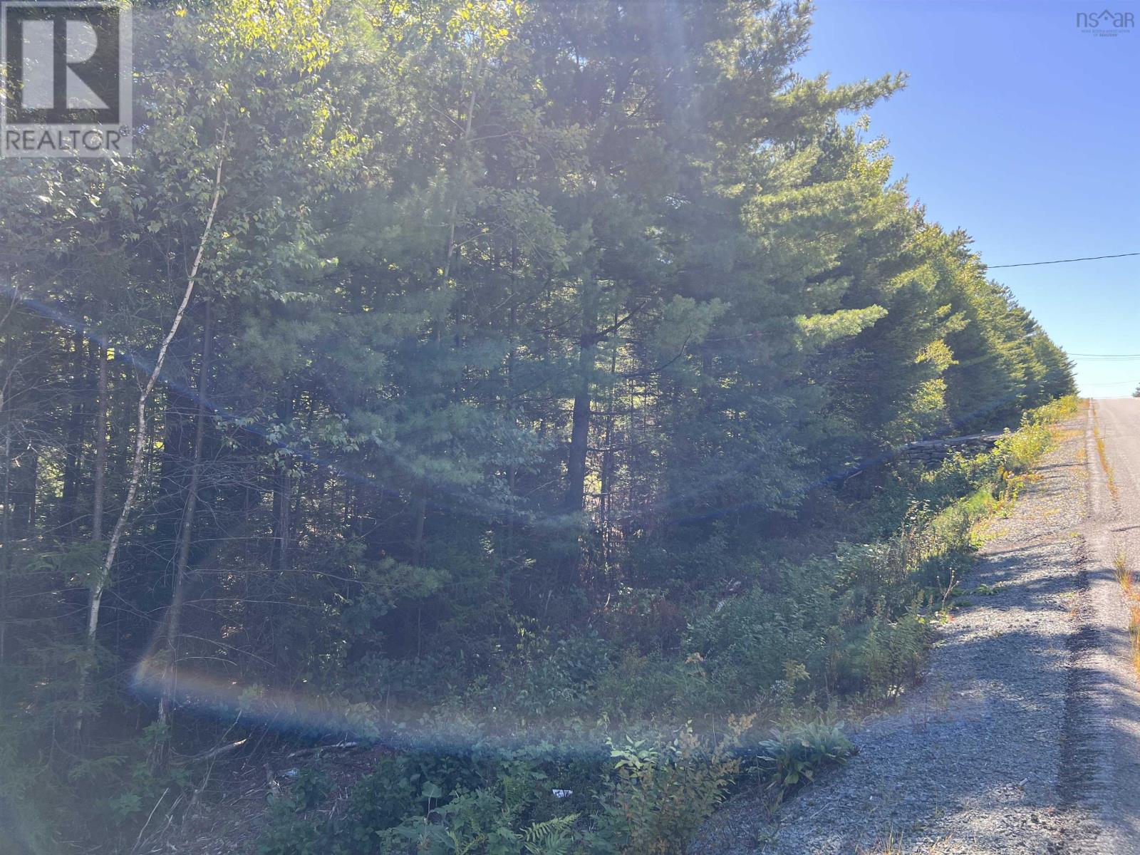 Lot 5 Conquerall Rd, Conquerall Bank, Nova Scotia  B4V 2W3 - Photo 11 - 202603553