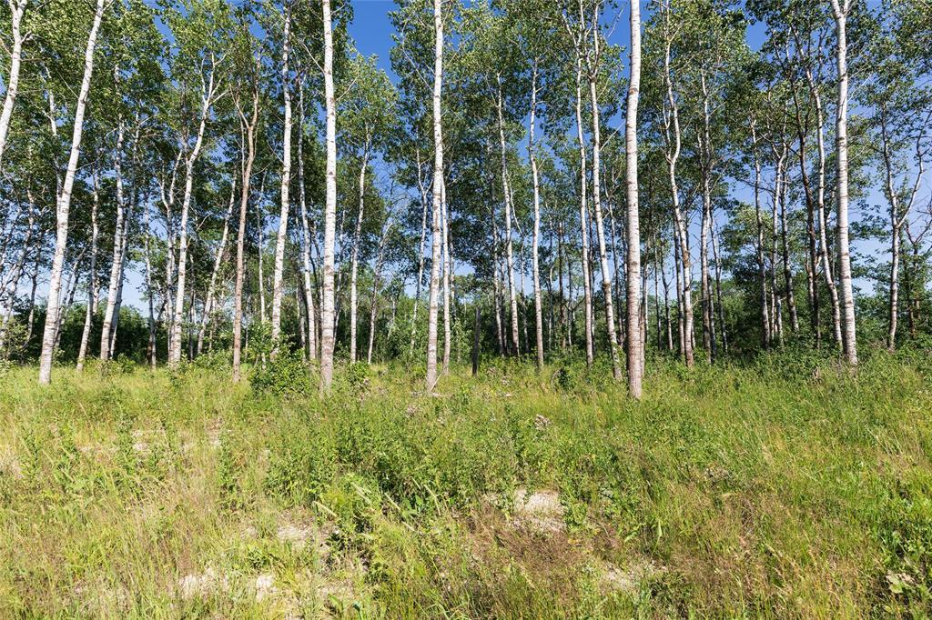 100 Spence Street, La Broquerie, Manitoba  R0A 0W1 - Photo 1 - 202616653