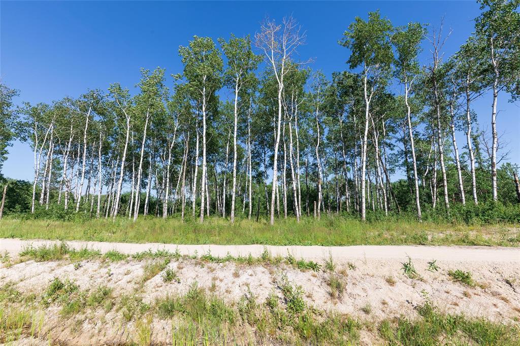100 Spence Street, La Broquerie, Manitoba  R0A 0W1 - Photo 2 - 202616653