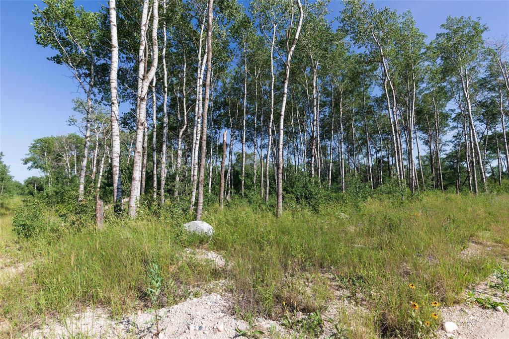 100 Spence Street, La Broquerie, Manitoba  R0A 0W1 - Photo 4 - 202616653