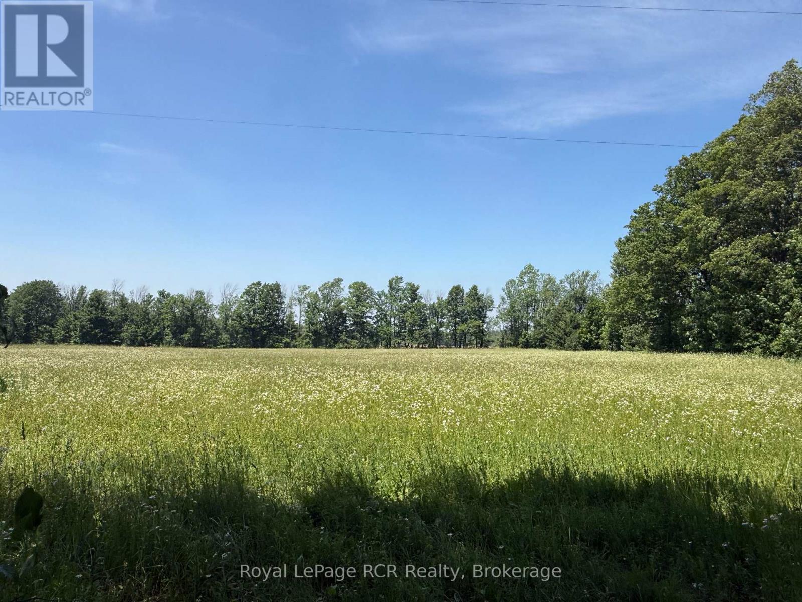 Lot 2 Part Lot 17 Bells Lake Road, West Grey, Ontario  N0C 1H0 - Photo 8 - X13561192