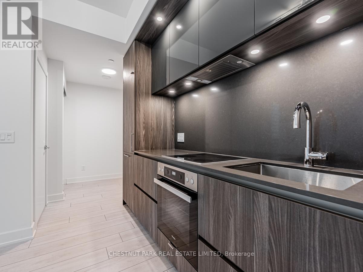 2513 - 35 Mercer Street, Toronto, Ontario  M5V 1H2 - Photo 11 - C13566198