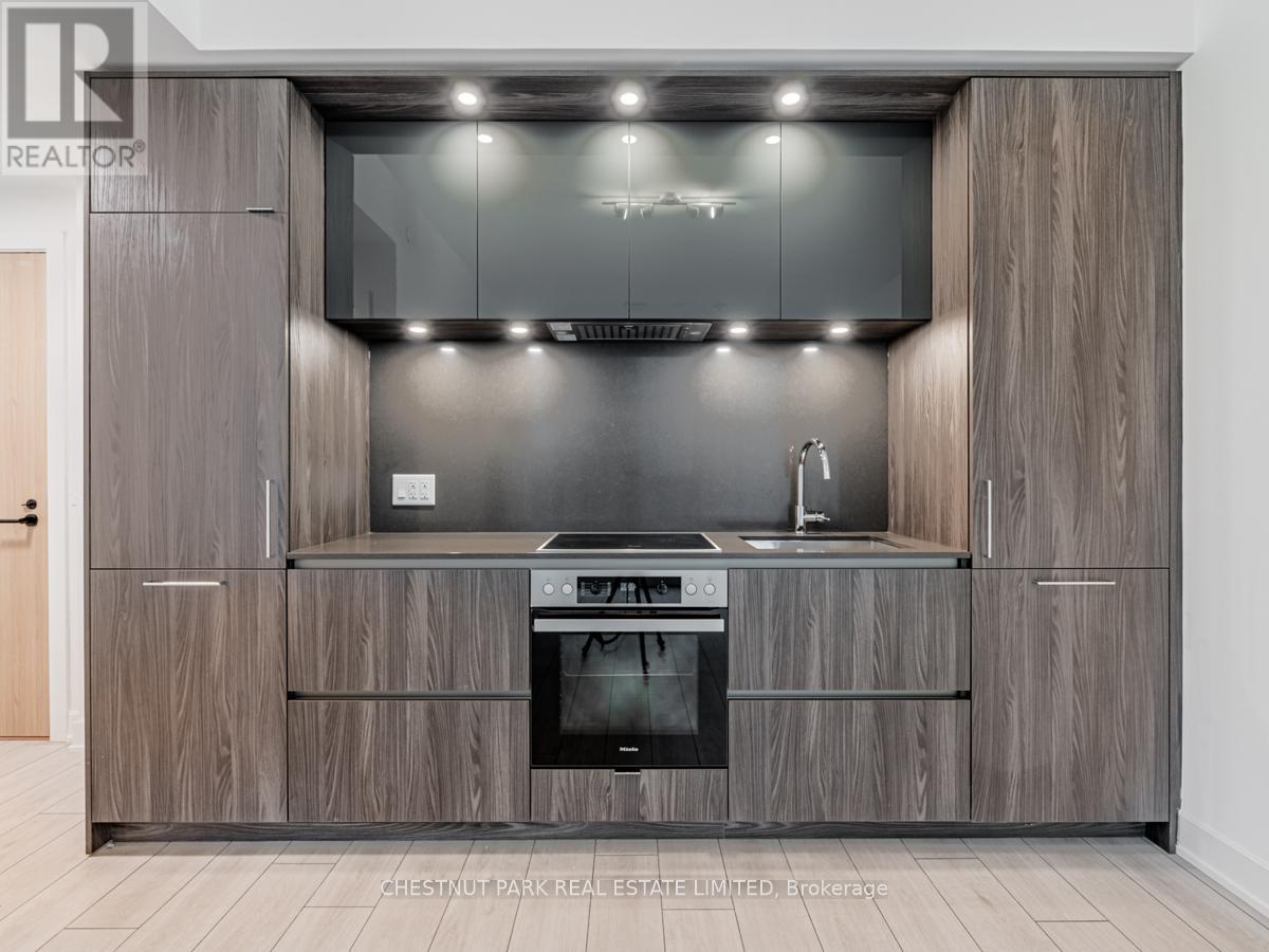 2513 - 35 Mercer Street, Toronto, Ontario  M5V 1H2 - Photo 4 - C13566198