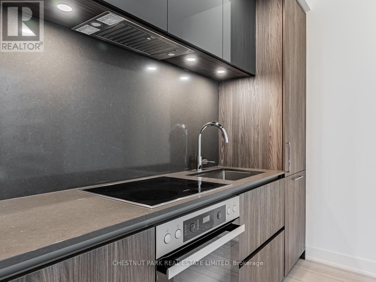 2513 - 35 Mercer Street, Toronto, Ontario  M5V 1H2 - Photo 5 - C13566198