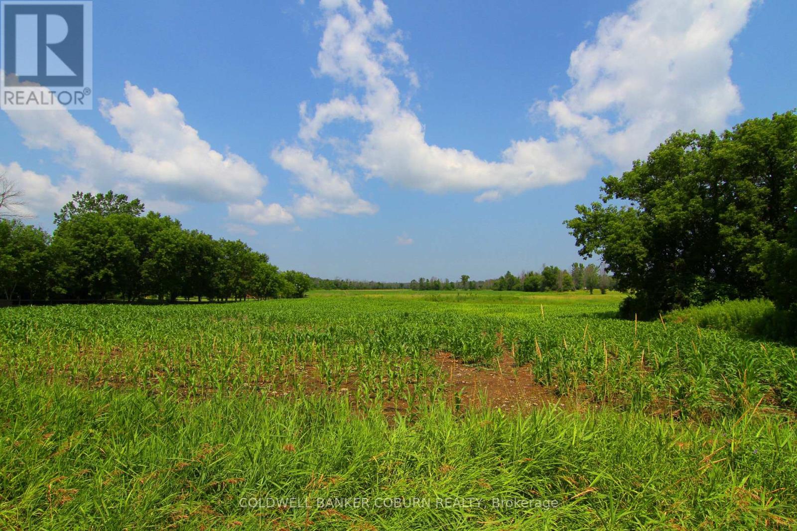 0 Nudell Bush Road, South Dundas, Ontario  K0C 1X0 - Photo 12 - X13566098