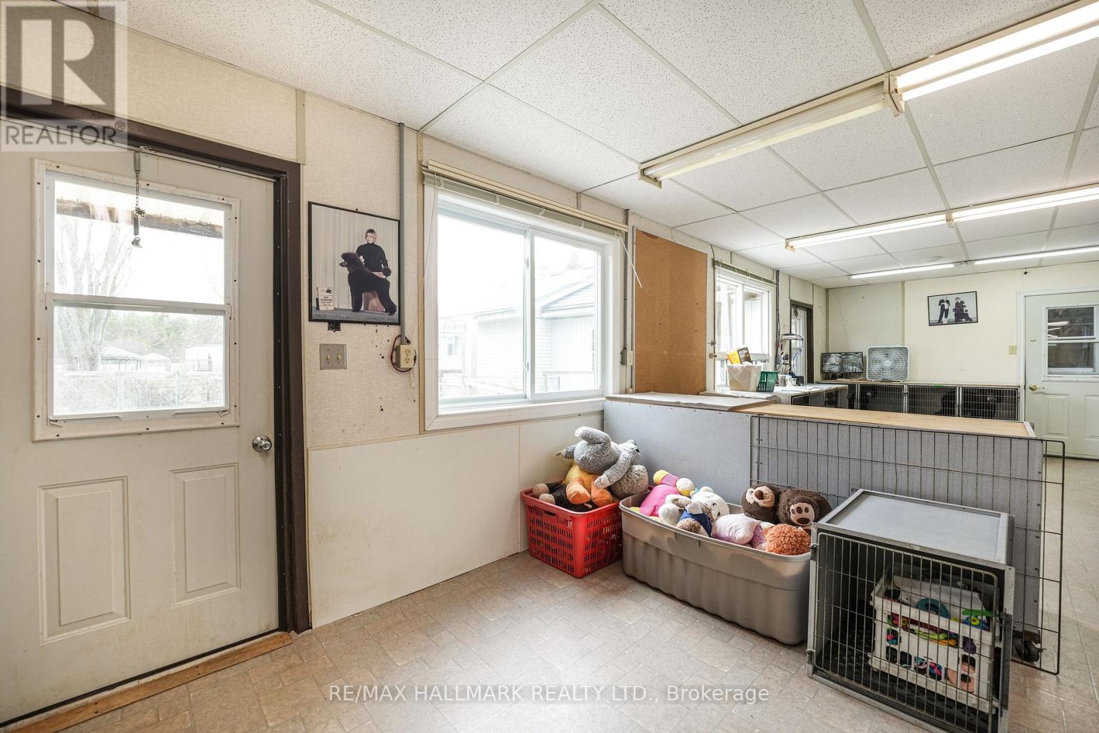 10246 Old Shiloh Road, Georgina, Ontario  L0E 1N0 - Photo 23 - N13566094