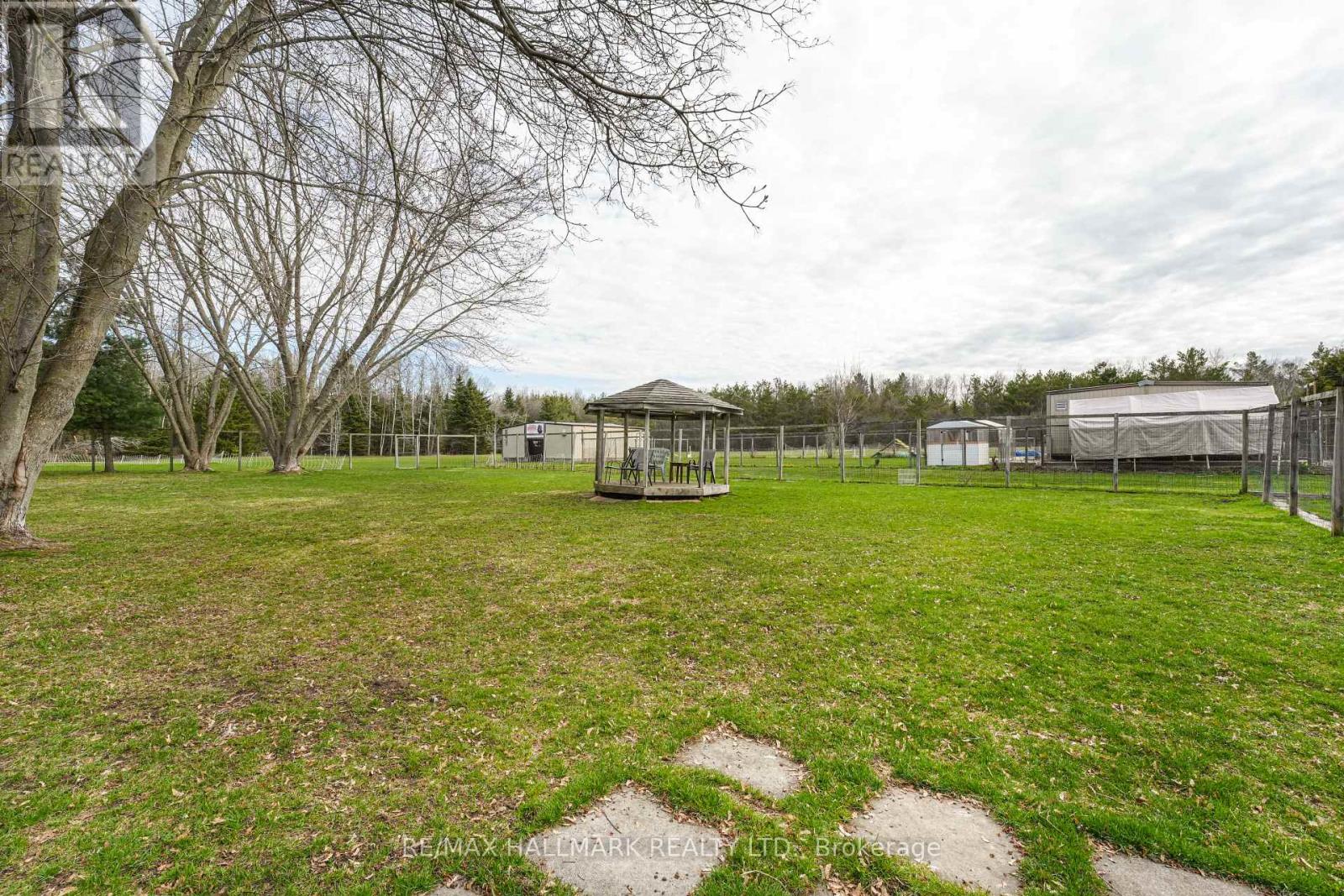 10246 Old Shiloh Road, Georgina, Ontario  L0E 1N0 - Photo 4 - N13566312