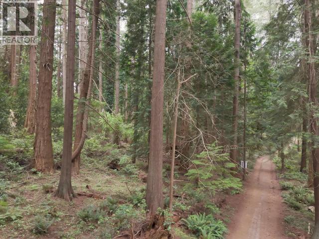 3200/04/06 Vancouver Blvd, Savary Island, British Columbia   - Photo 6 - 20064