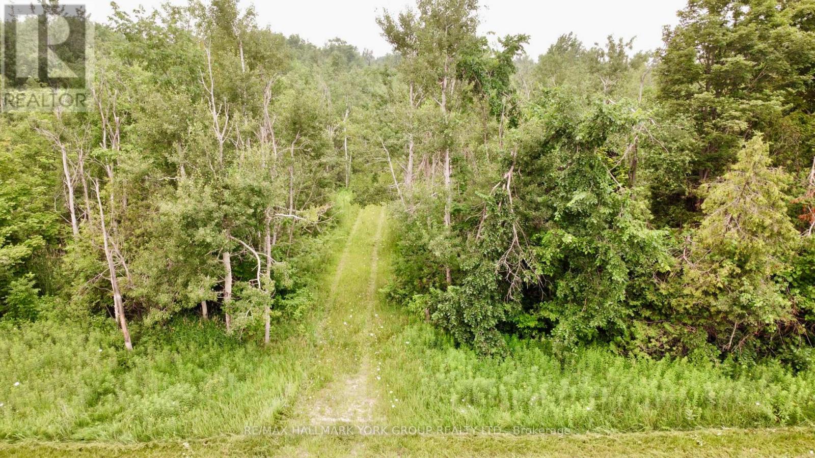 PT LOT 80 GREY ROAD, Grey Highlands, Ontario