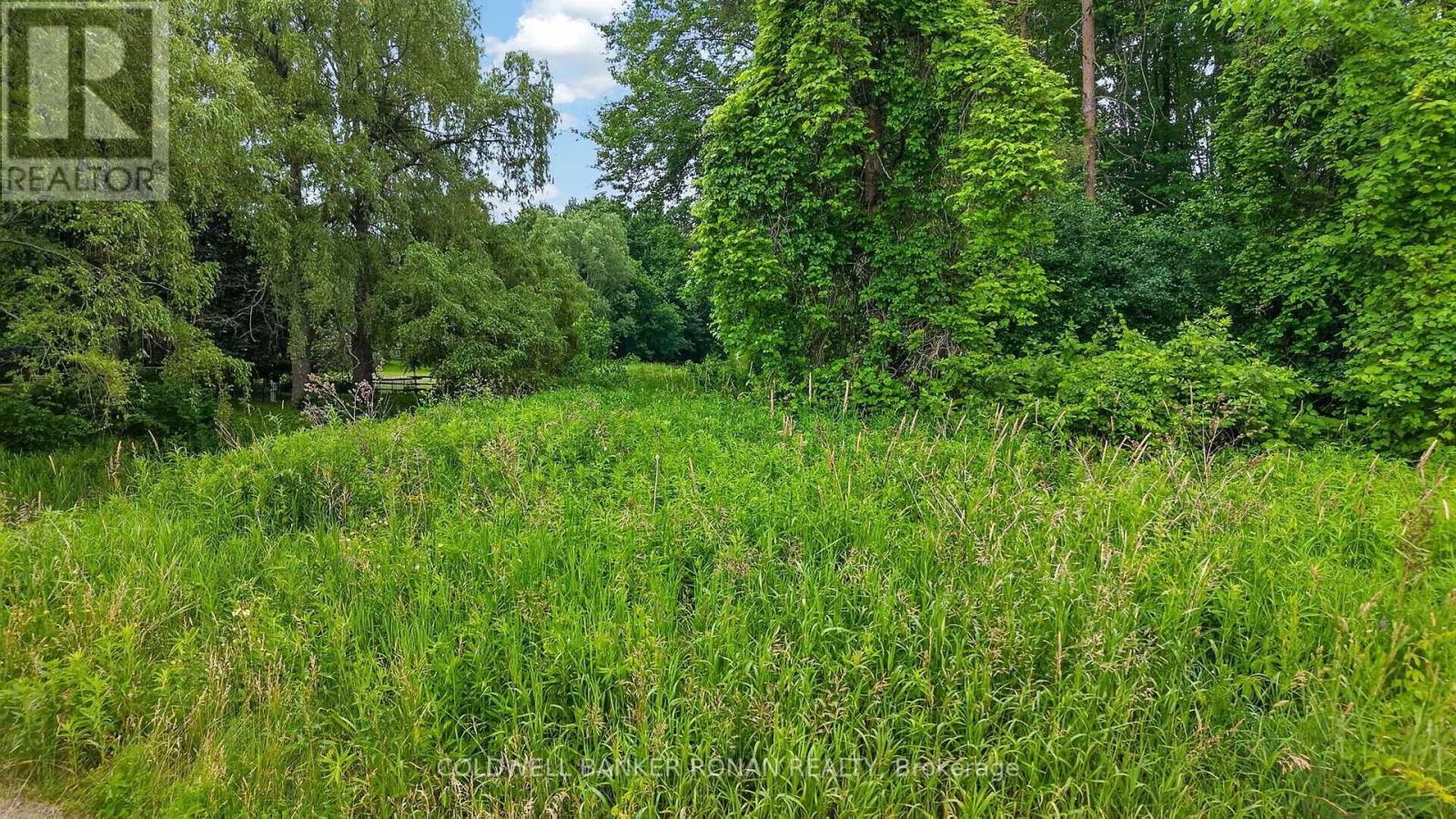 15 English Drive, New Tecumseth, Ontario L0G 1A0 - Photo 14 - N13566572