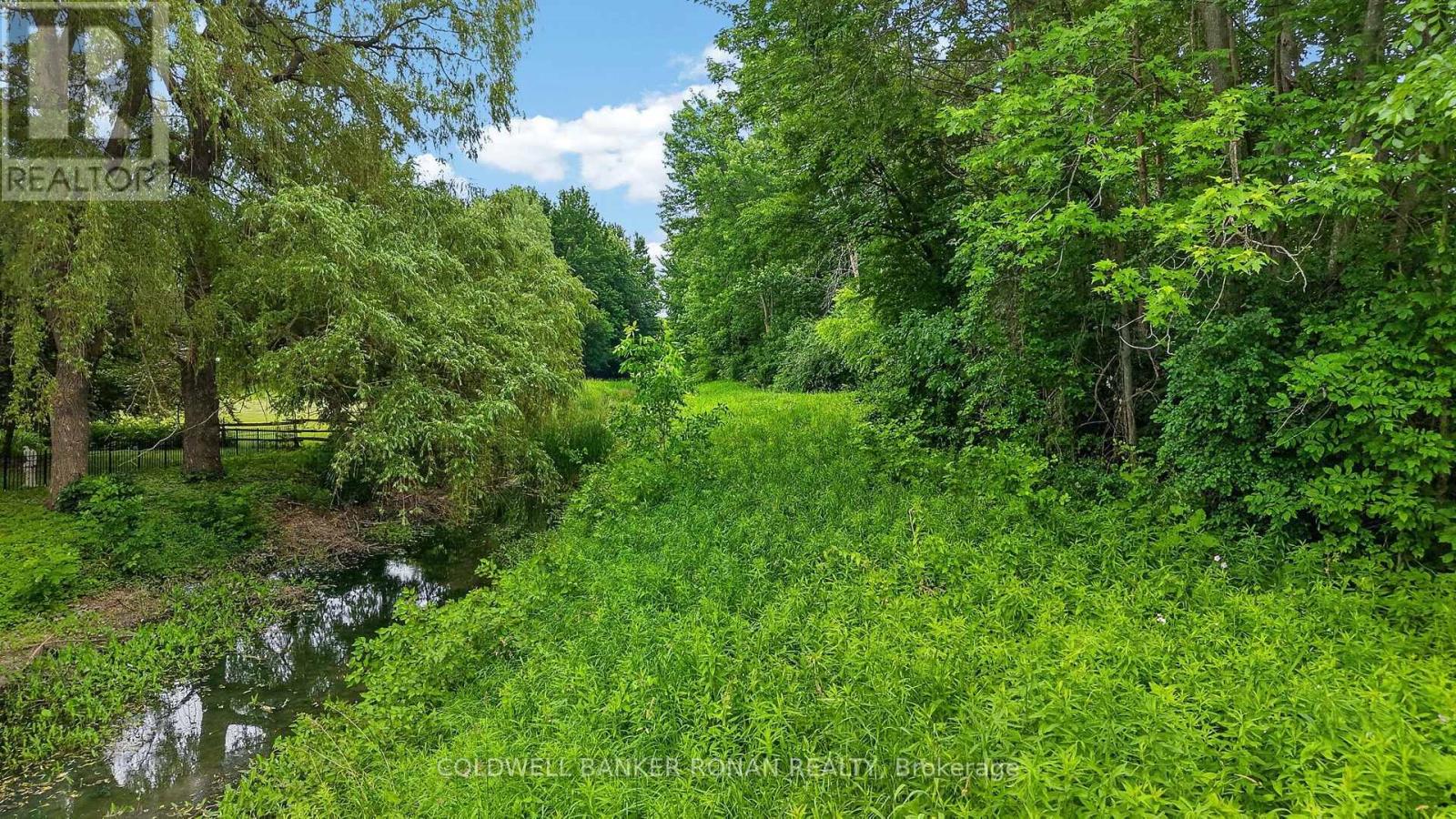 15 English Drive, New Tecumseth, Ontario L0G 1A0 - Photo 15 - N13566572