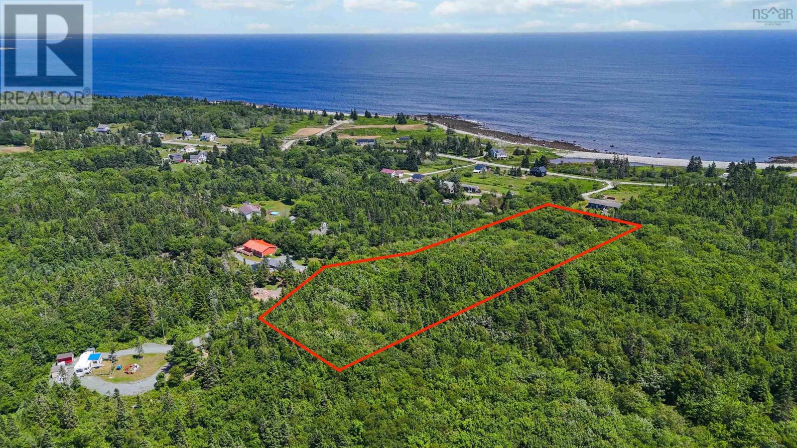 picture 1