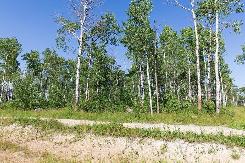 60 Spence Street, La Broquerie, Manitoba  R0A 0W1 - Photo 4 - 202616671