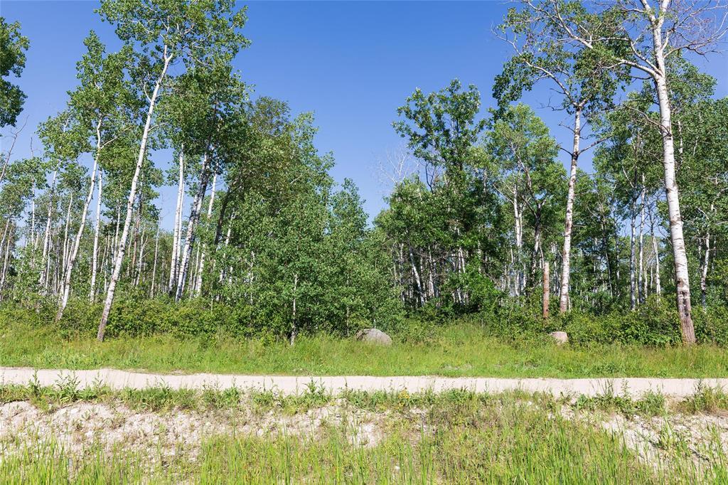 60 Spence Street, La Broquerie, Manitoba  R0A 0W1 - Photo 3 - 202616671
