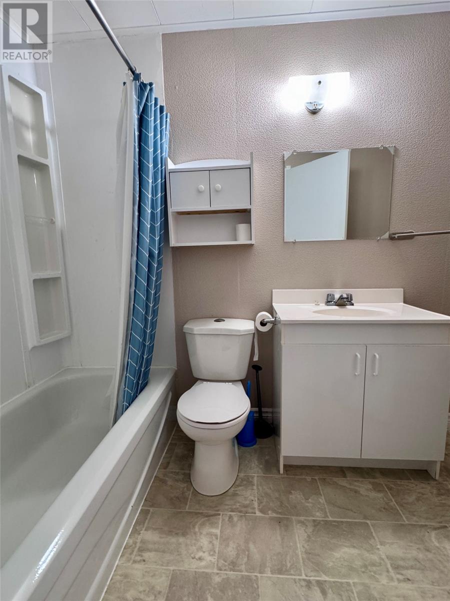 6 Upper Nicholsville Road, Deer Lake, Newfoundland & Labrador  A8A 2E7 - Photo 36 - 1300241
