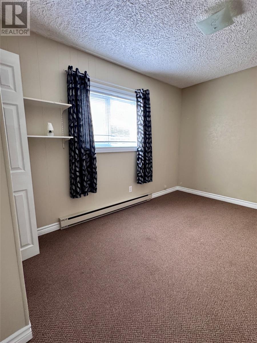 6 Upper Nicholsville Road, Deer Lake, Newfoundland & Labrador  A8A 2E7 - Photo 37 - 1300241