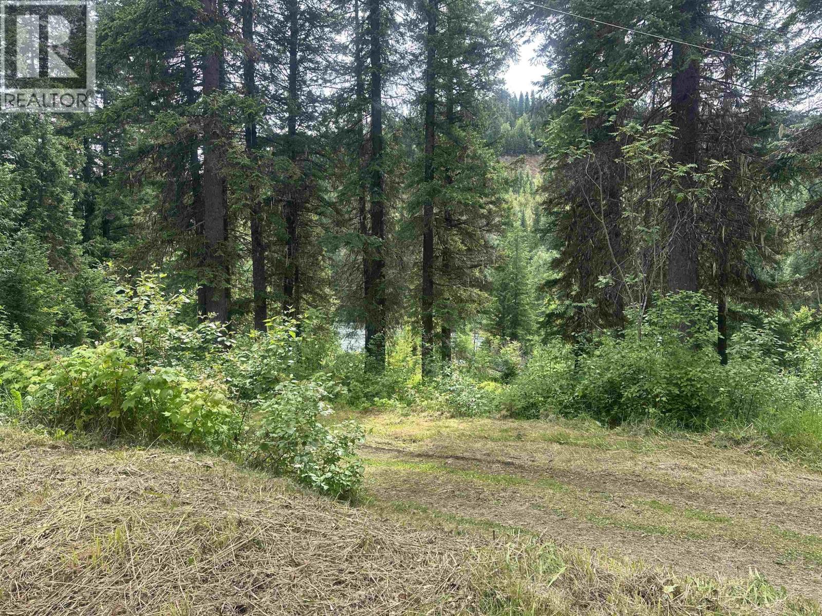 4747 Quesnel Forks Road, Likely, British Columbia  V0L 1N0 - Photo 24 - R3145601