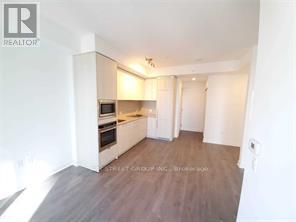 3007 - 115 Blue Jays Way E, Toronto, Ontario  M5V 0N4 - Photo 7 - C13567434