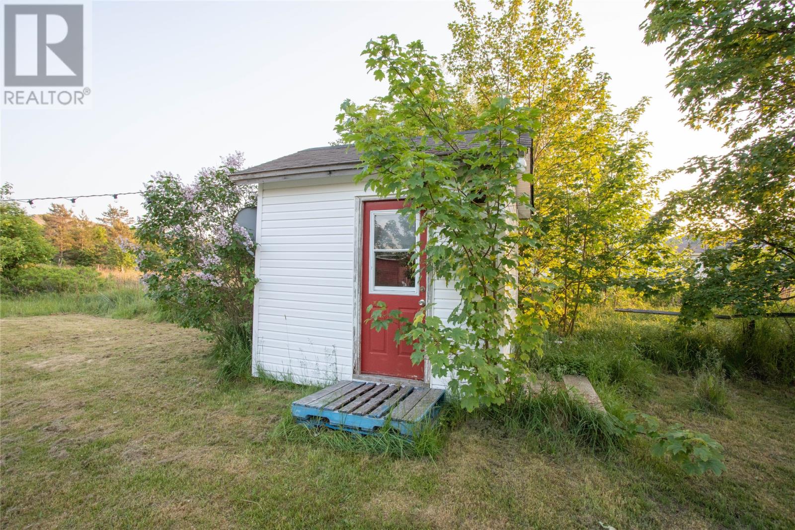 364 Seaforest Road, Cupids, Newfoundland & Labrador  A0A 2B0 - Photo 25 - 1300435